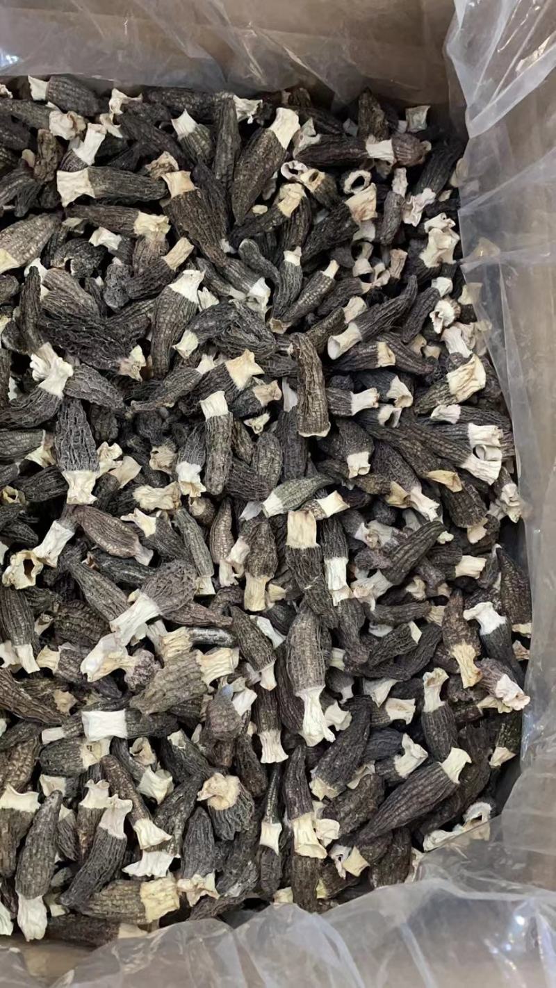 干羊肚菌（干）高中低档各个规格都有，任你选择。