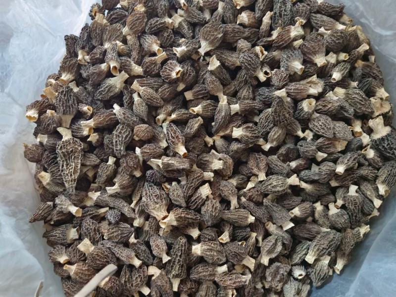 干羊肚菌（干）高中低档各个规格都有，任你选择。