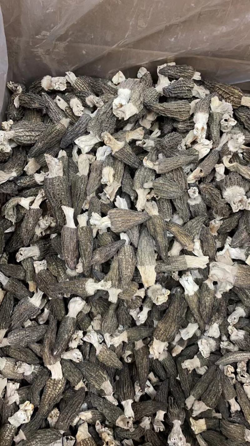 干羊肚菌（干）高中低档各个规格都有，任你选择。