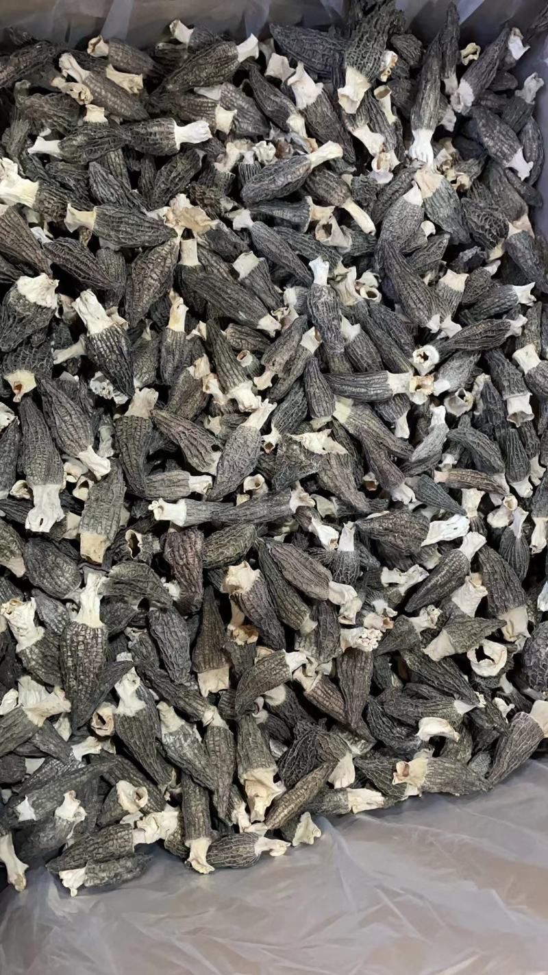 干羊肚菌（干）高中低档各个规格都有，任你选择。