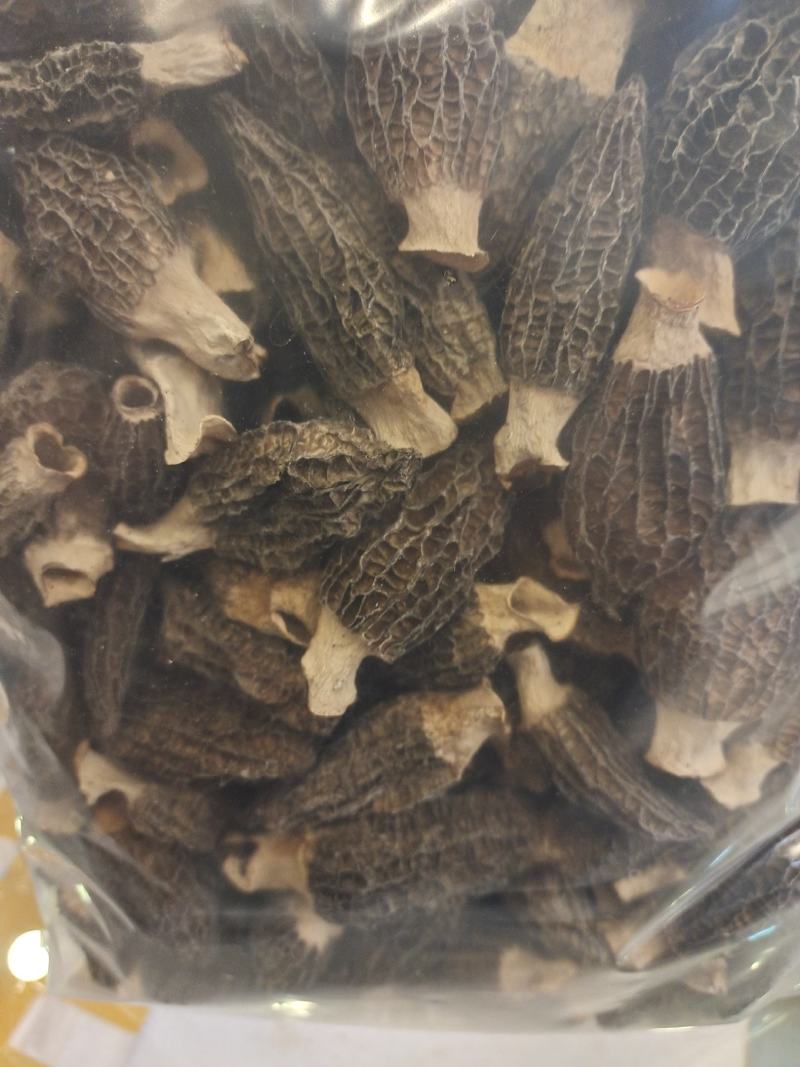干羊肚菌（干）高中低档各个规格都有，任你选择。