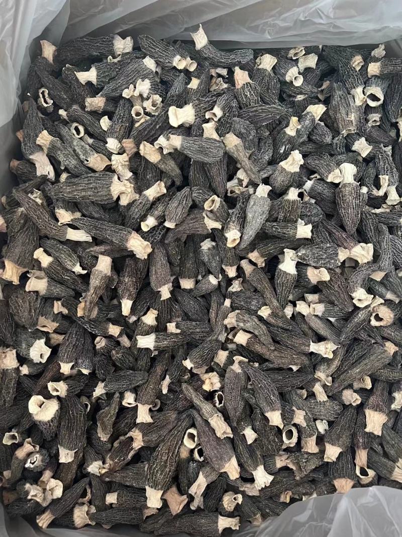 干羊肚菌（干）高中低档各个规格都有，任你选择。