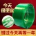打包带绿色塑钢带捆绑带手工物流包装塑料带1608PET绿