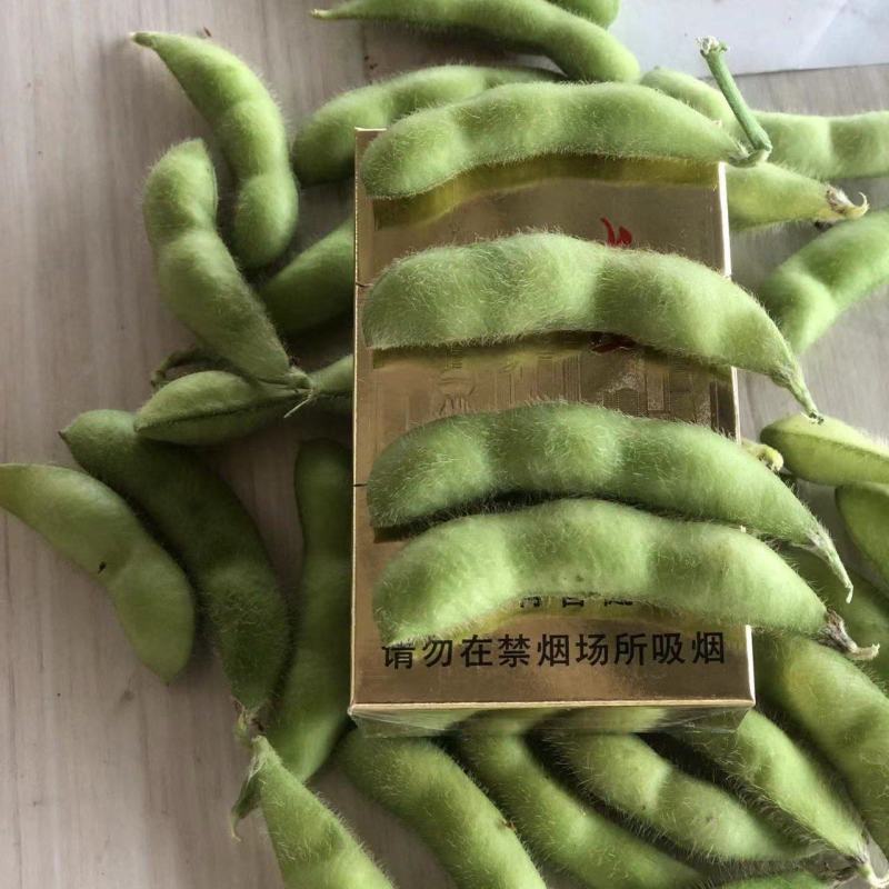 芜湖精品露天大青豆，饱满度都刚刚好