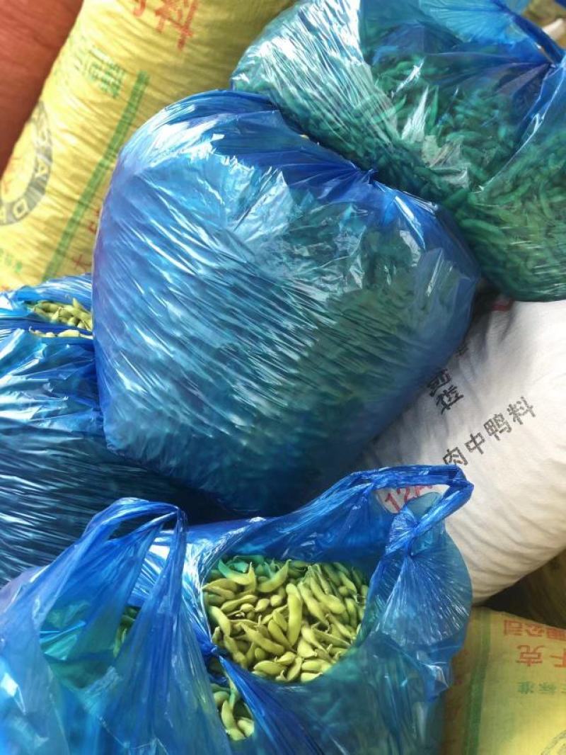 芜湖精品露天大青豆，饱满度都刚刚好