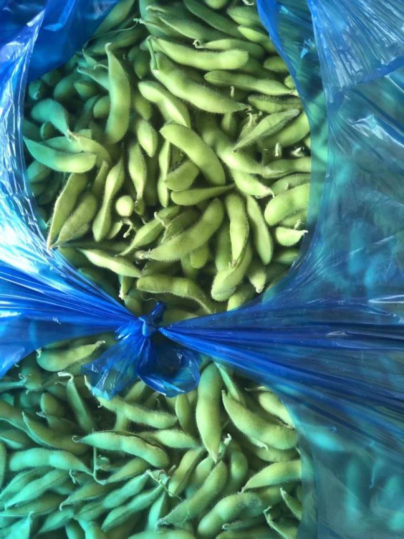 芜湖精品露天大青豆，饱满度都刚刚好