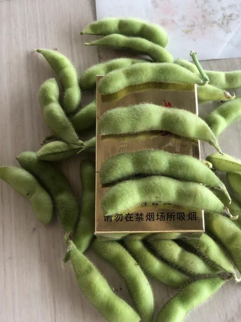 芜湖精品露天大青豆，饱满度都刚刚好