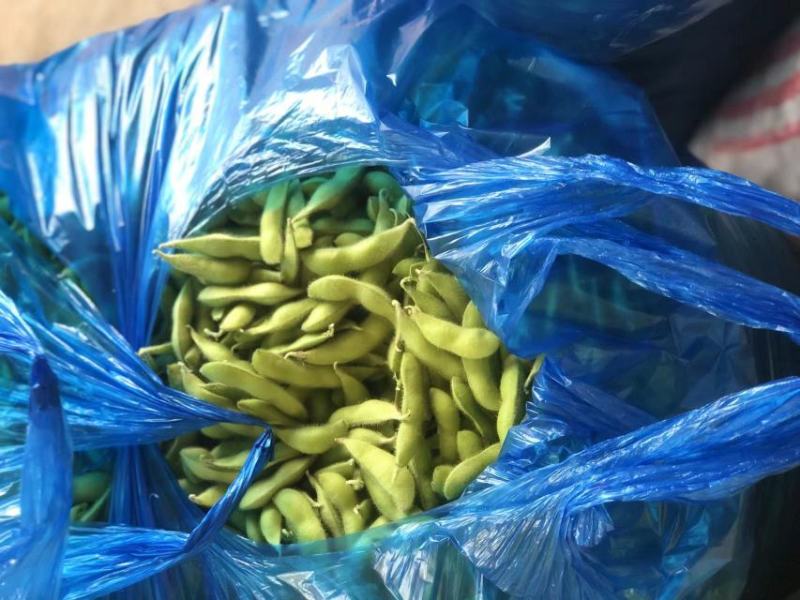 芜湖精品露天大青豆，饱满度都刚刚好