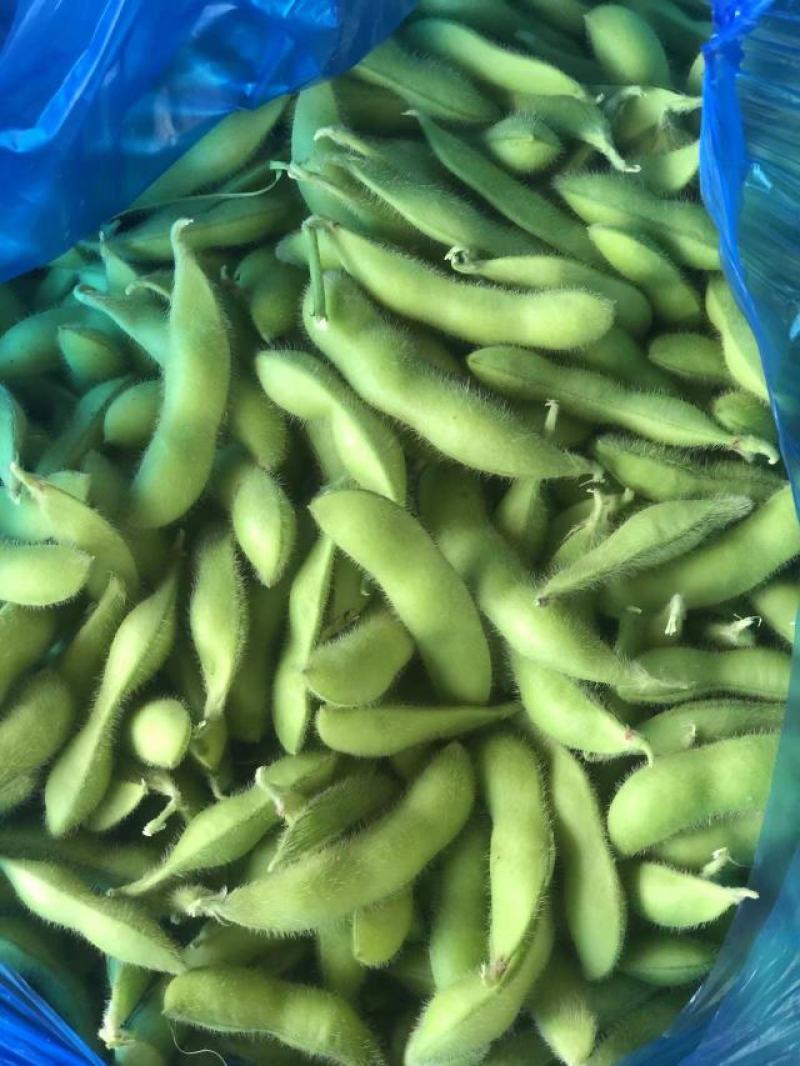芜湖精品露天大青豆，饱满度都刚刚好