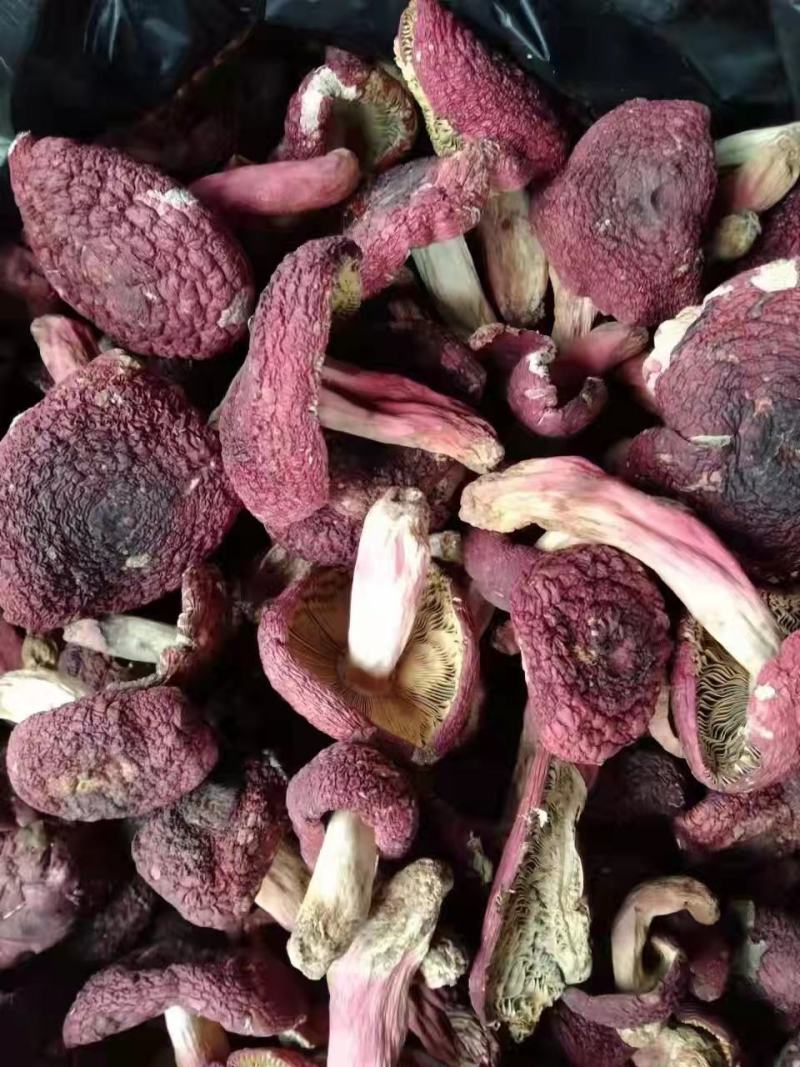 云南野生红菇，原生态，天然绿色食品，资源有限（顺丰包邮）