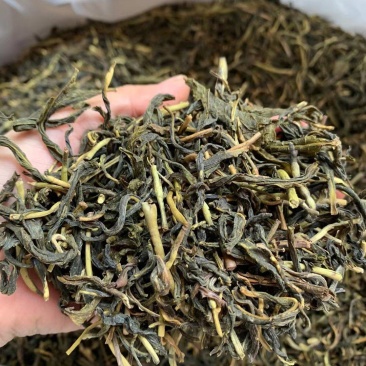 山茶