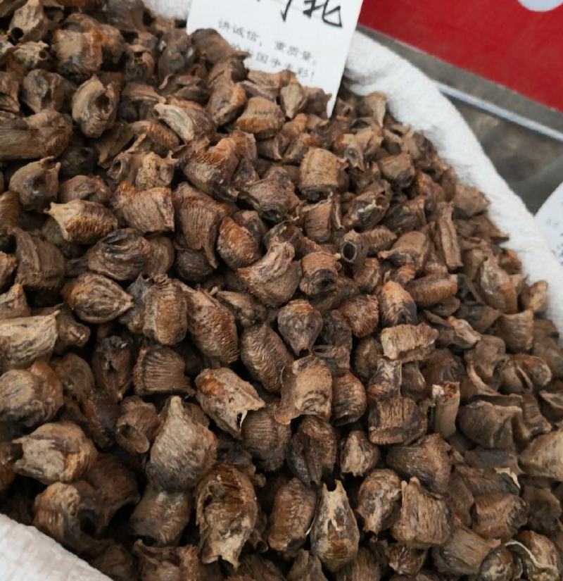 桑螵蛸干货常年经营各种中药材欢迎选购！