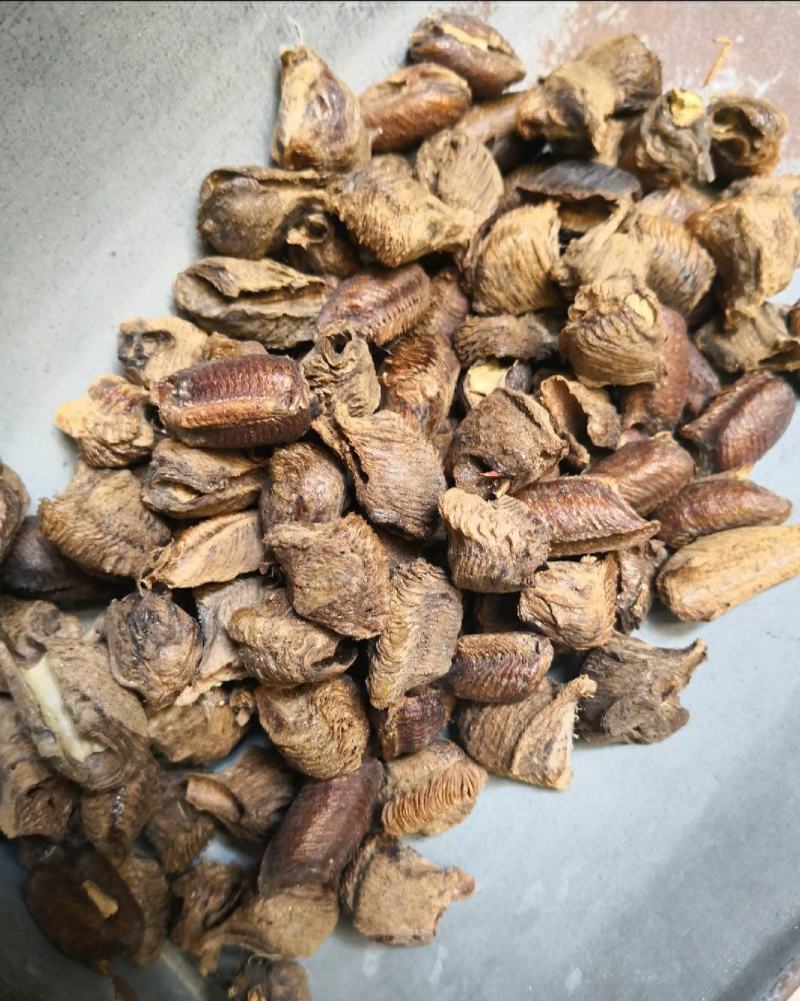 桑螵蛸干货常年经营各种中药材欢迎选购！