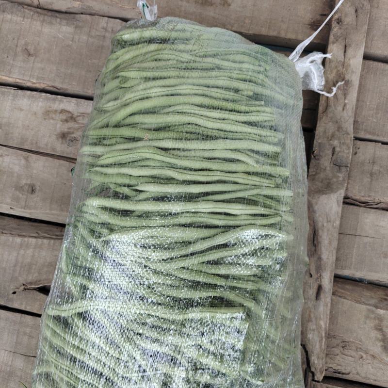华州豆王无筋豆角价位合适即将大量上市对接各大市场电商