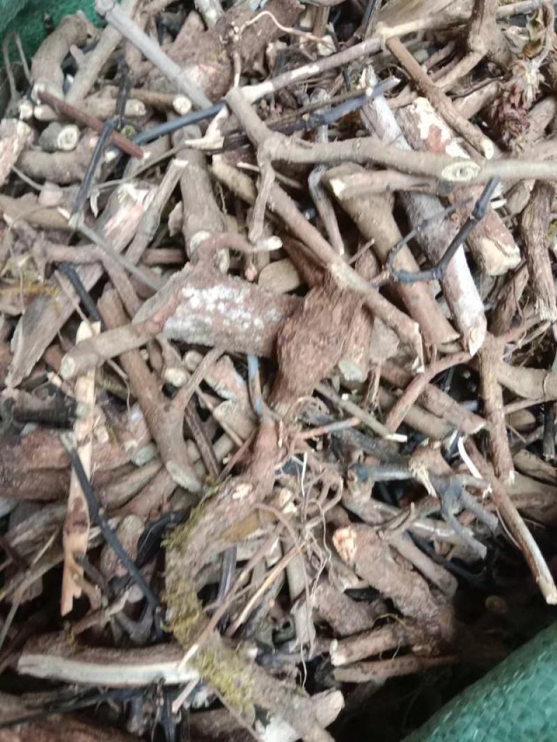 南板蓝根统货大货工厂投料货根茎混合