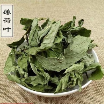 薄荷叶新鲜干薄荷茶清凉特产级可配柠檬片泡茶泡水喝批发价