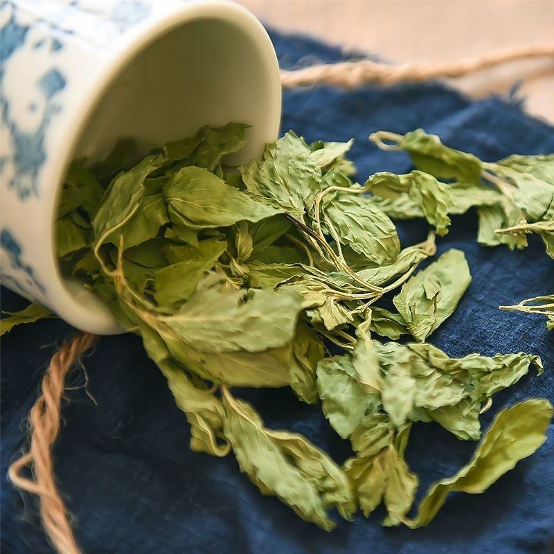 薄荷叶新鲜干薄荷茶清凉特产级可配柠檬片泡茶泡水喝批发价
