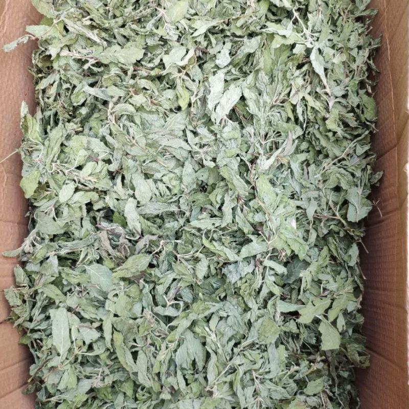 薄荷叶新鲜干薄荷茶清凉特产级可配柠檬片泡茶泡水喝批发价