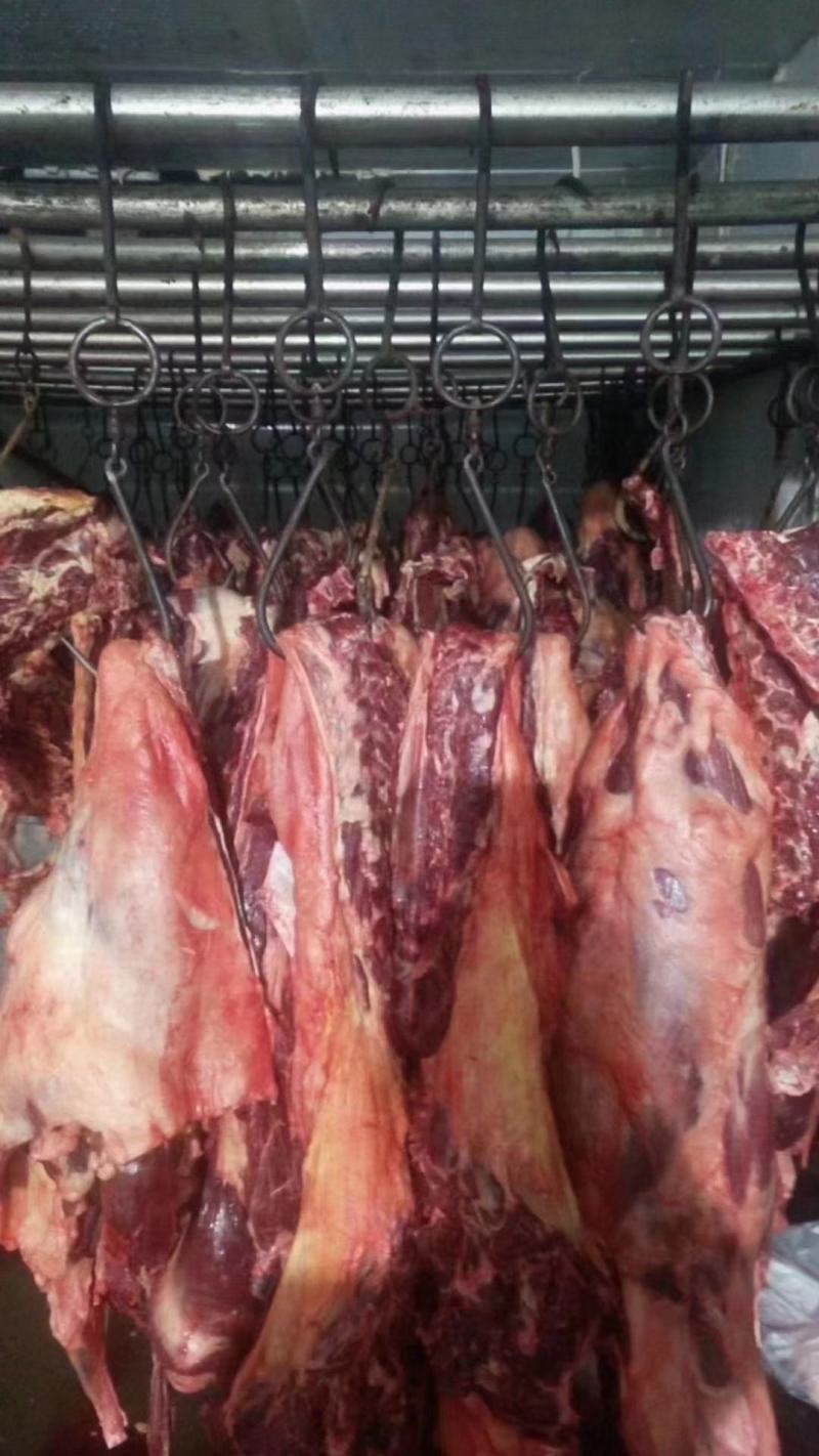 【驴肉】精品生驴肉保证新鲜一手货源量大从优全国发货