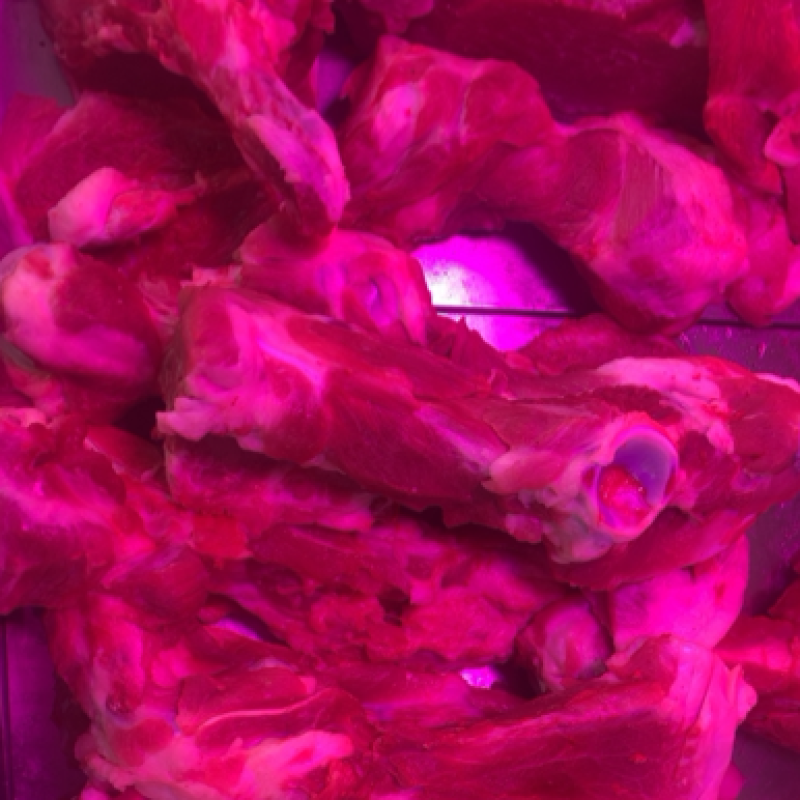 新鲜宰杀后腿，前腿筒骨