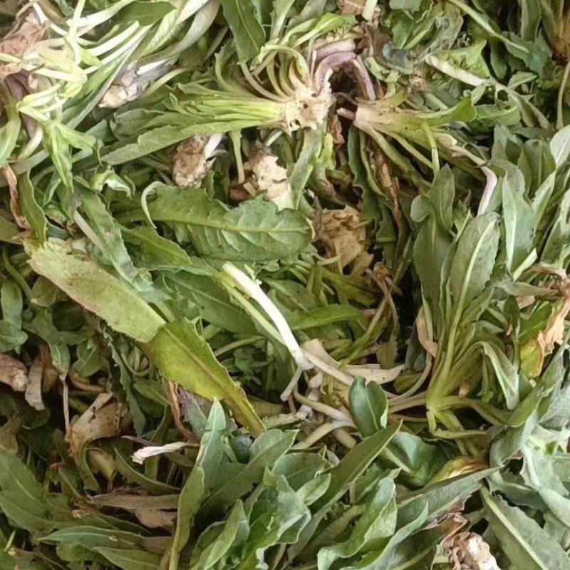 山野菜
