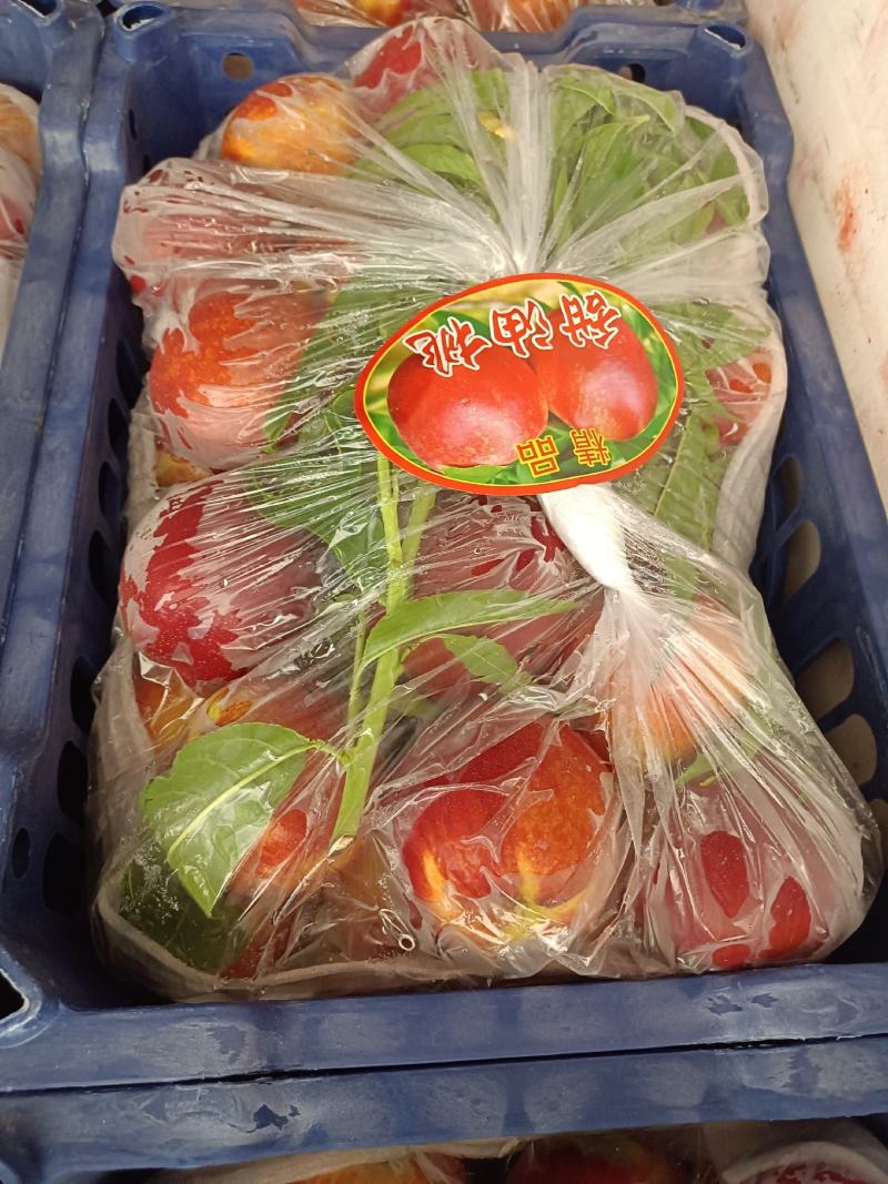 山西高原中油油桃大掉价了，需要的老板联系了