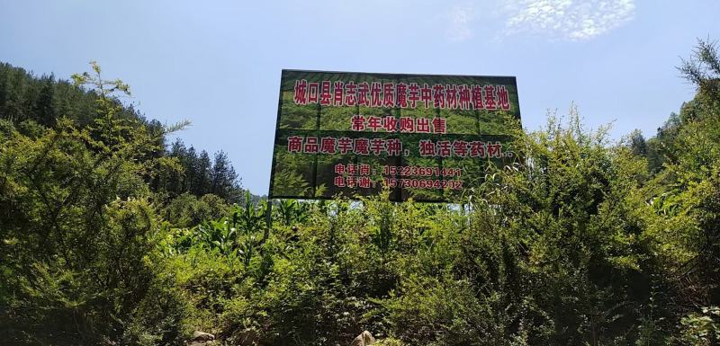 手工魔芋豆腐！自己种的，有需要的可以联系我