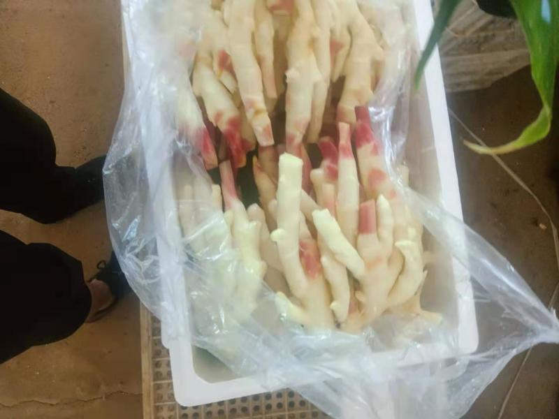 精品红牙鲜姜大量上市供应量大自有冻库品质保证