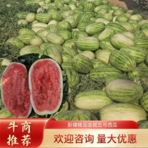 新疆西瓜【安农2号】，口感脆甜，皮薄，大红瓤，量大从优