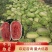新疆西瓜【安农2号】，口感脆甜，皮薄，大红瓤，量大从优