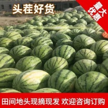 吐鲁番金城5号安农2号西瓜即将大量上市欢迎老客户