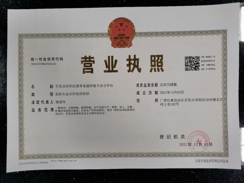 广西百色田阳芒果台农芒果大量供应对接电商、微商诚信经营