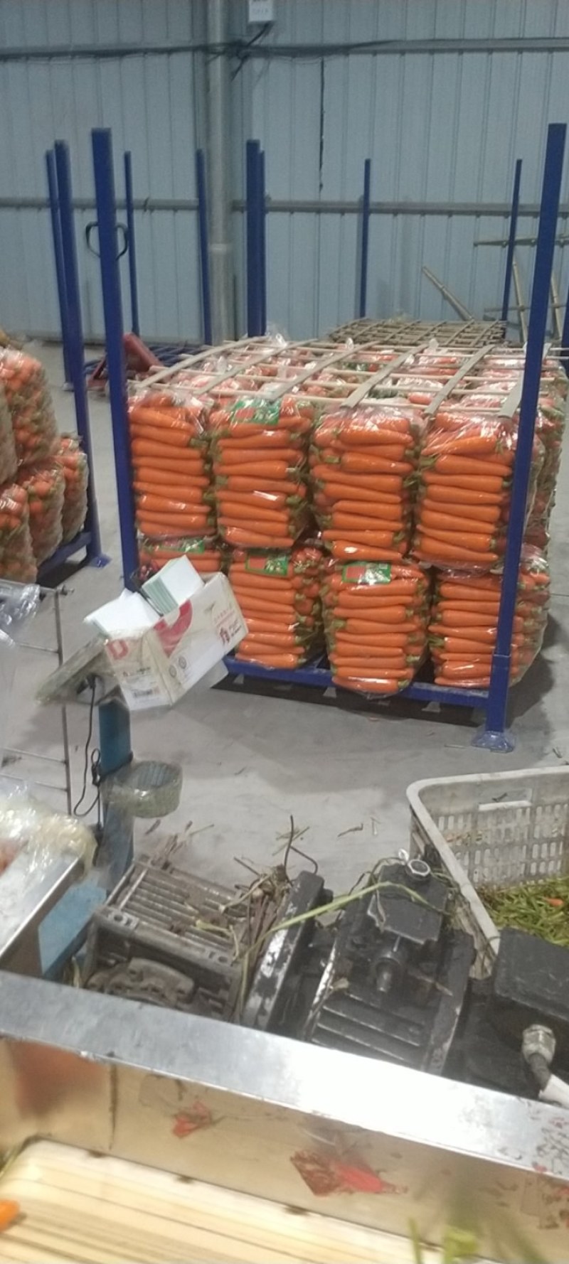 水洗胡萝卜精品中条大条小条，电商超市市场加工保证质量发货