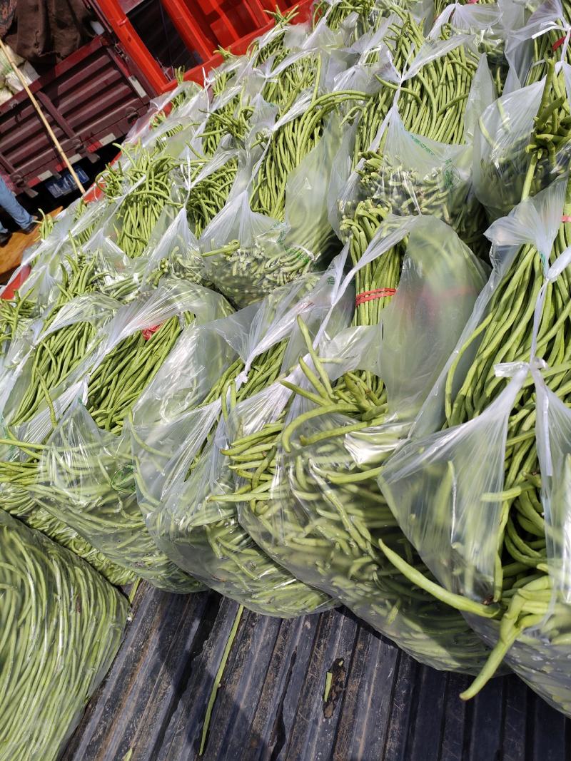 豇豆（新鲜豇豆现货）