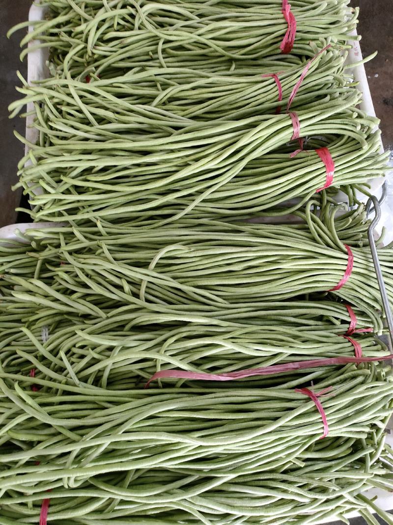 豇豆（新鲜豇豆现货）