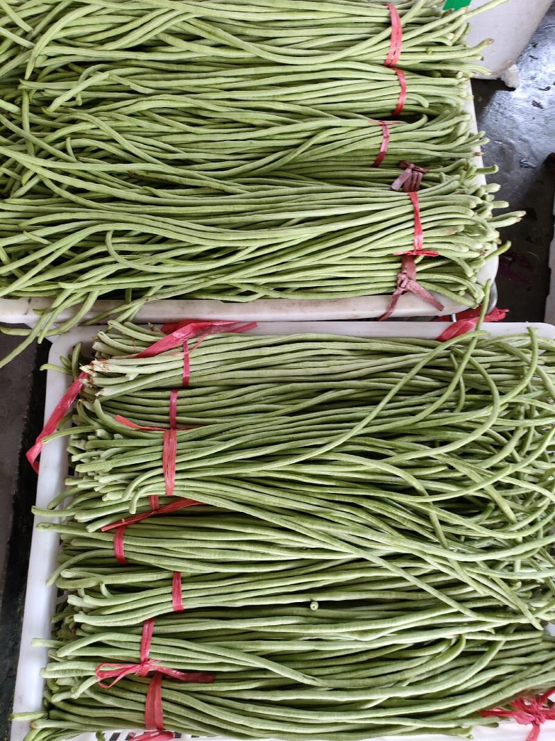 豇豆（新鲜豇豆现货）
