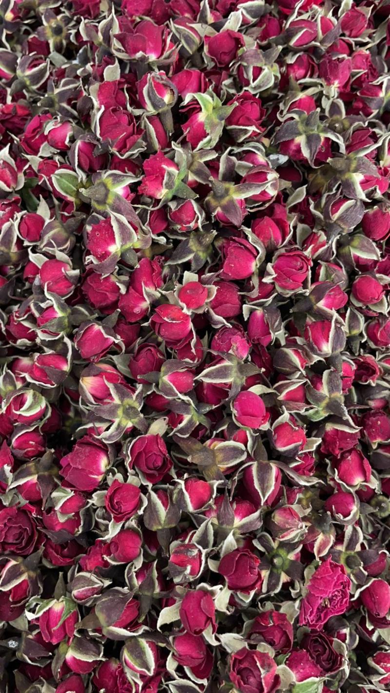 云南金边玫瑰花，产地一手货源，一件10公斤，欢迎选购。