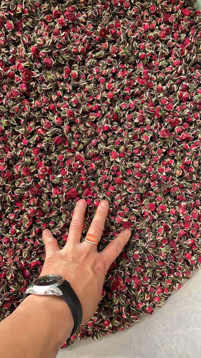 云南金边玫瑰花，产地一手货源，一件10公斤，欢迎选购。
