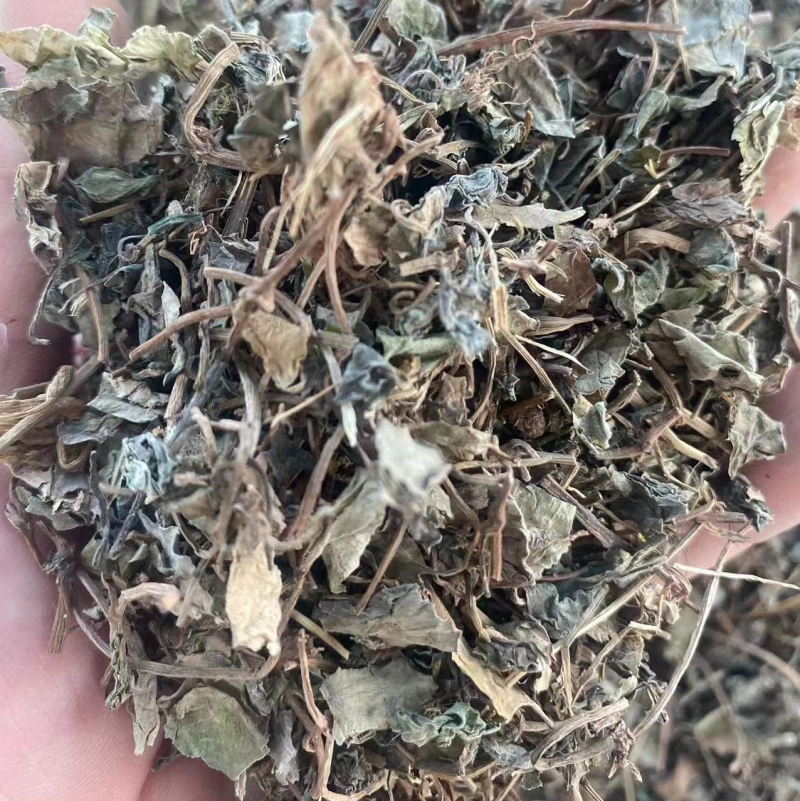 四川金钱草中药材小叶金钱草化石草小叶金钱草粉代客磨粉