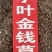 四川金钱草中药材小叶金钱草化石草小叶金钱草粉代客磨粉