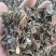 四川金钱草中药材小叶金钱草化石草小叶金钱草粉代客磨粉