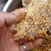 天然绿色高山蜂糖，蜂蜜