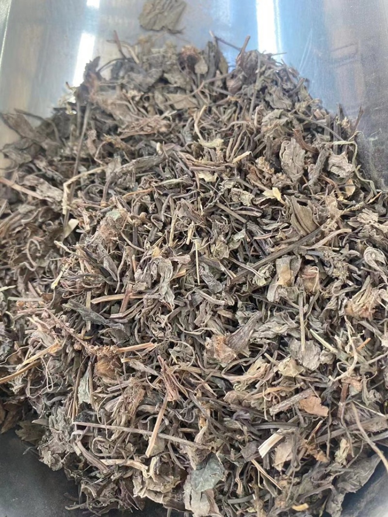 车前草中药材批发猪耳草车轮菜牛耳朵颗车前草粉代客磨粉