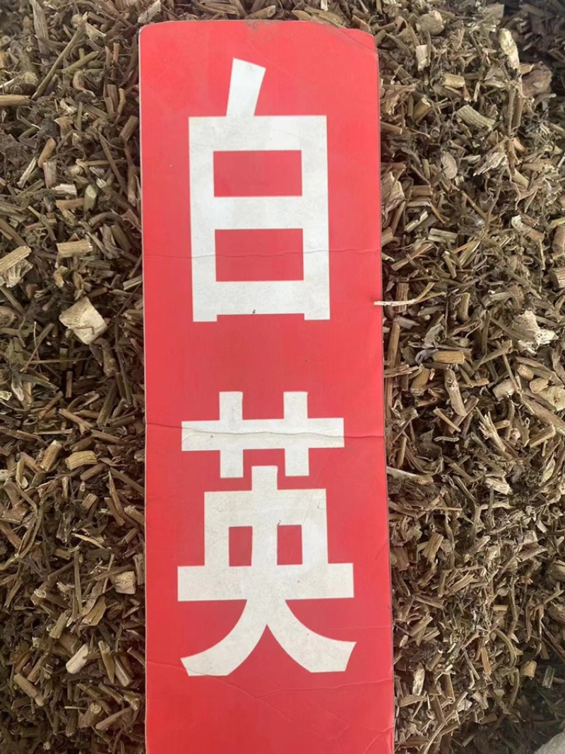 白英野生中药材白毛藤排风藤葫芦草白英粉代客磨粉