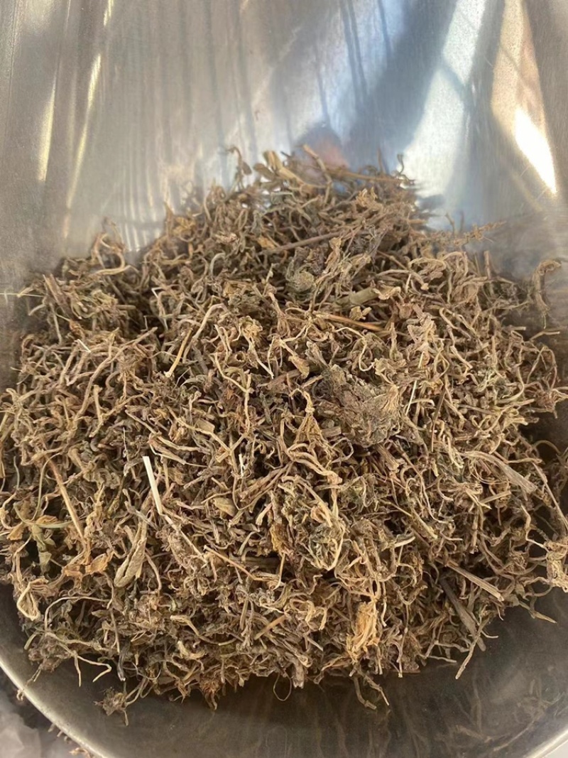 垂盆草野生中药材批发狗牙半支鼠牙半支垂盆草粉代客磨粉