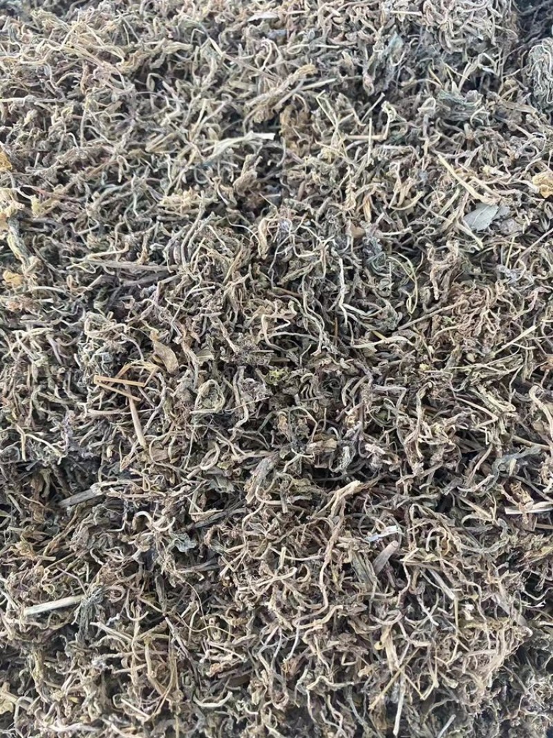 垂盆草野生中药材批发狗牙半支鼠牙半支垂盆草粉代客磨粉