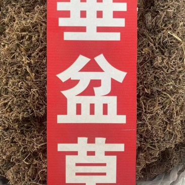 垂盆草野生中药材批发狗牙半支鼠牙半支垂盆草粉代客磨粉