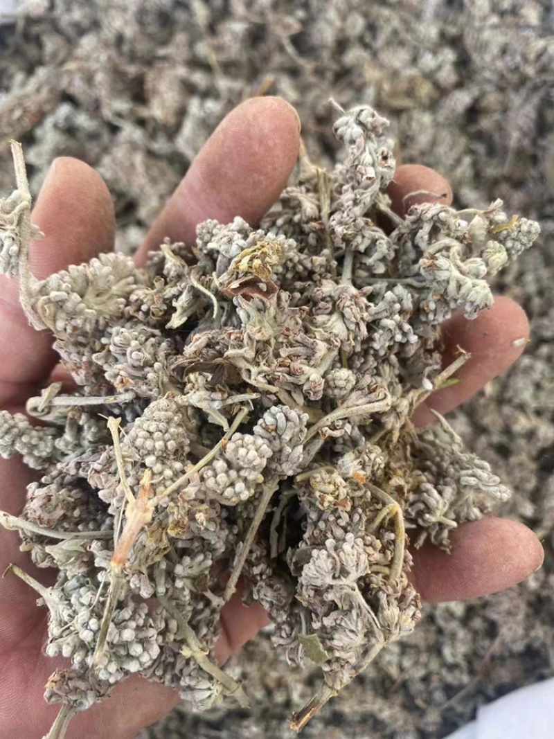 密蒙花野生中药材蒙花小锦花黄饭花当季新货无硫磺熏