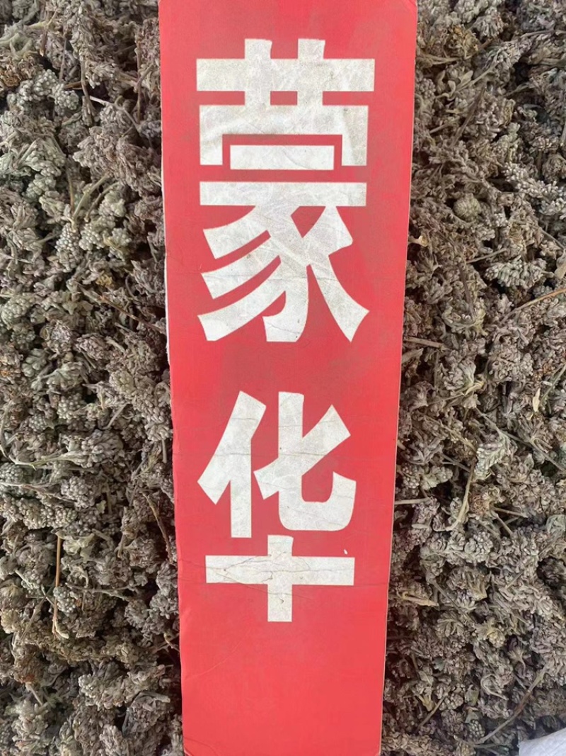 密蒙花野生中药材蒙花小锦花黄饭花当季新货无硫磺熏