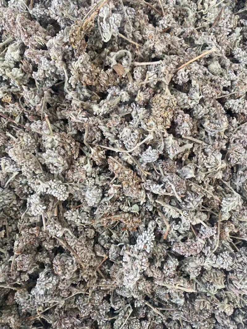 密蒙花野生中药材蒙花小锦花黄饭花当季新货无硫磺熏